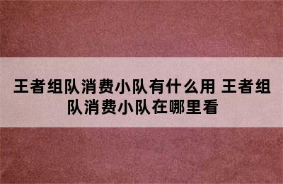 王者组队消费小队有什么用 王者组队消费小队在哪里看